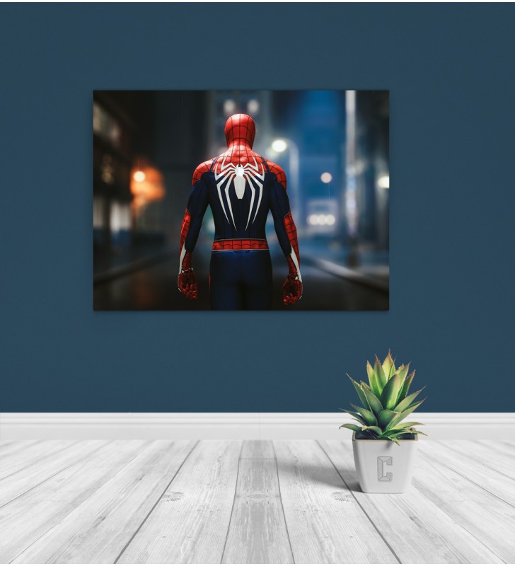 pr1837a Πίνακας σε καμβά Spiderman