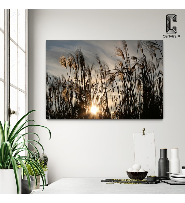 Πίνακας Σε Καμβά Φύση - Ηλιοβασίλεμα