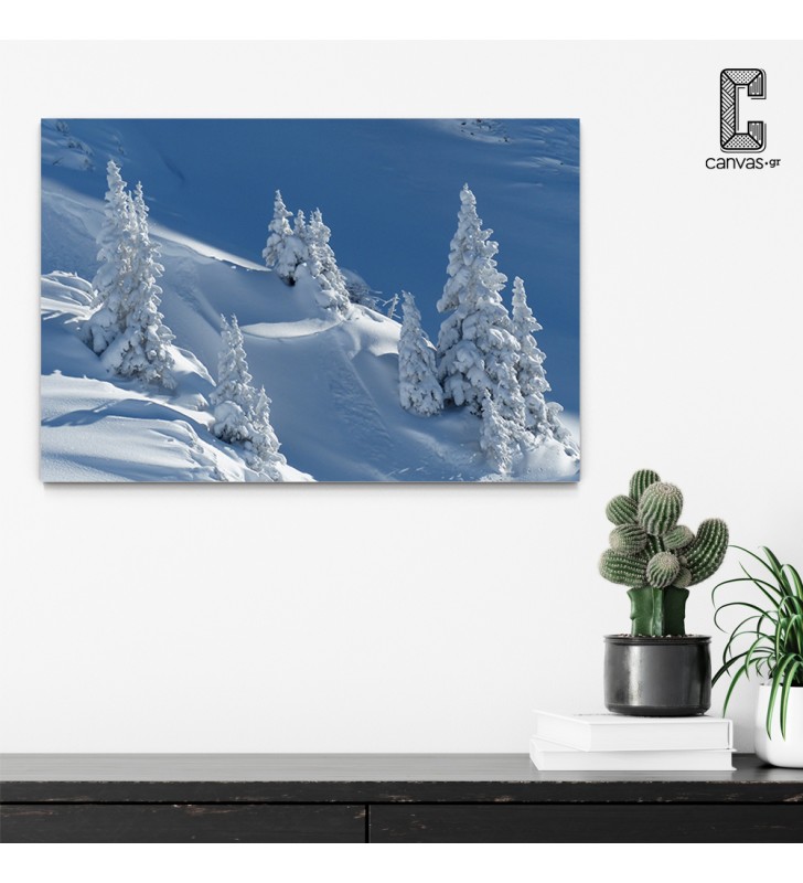 Πίνακας Σε Καμβά Χειμερινή Φύση