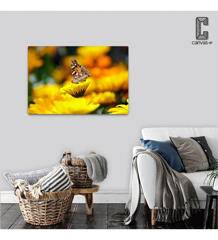 Πίνακας Σε Καμβά Πεταλούδα σε κίτρινο λουλούδι