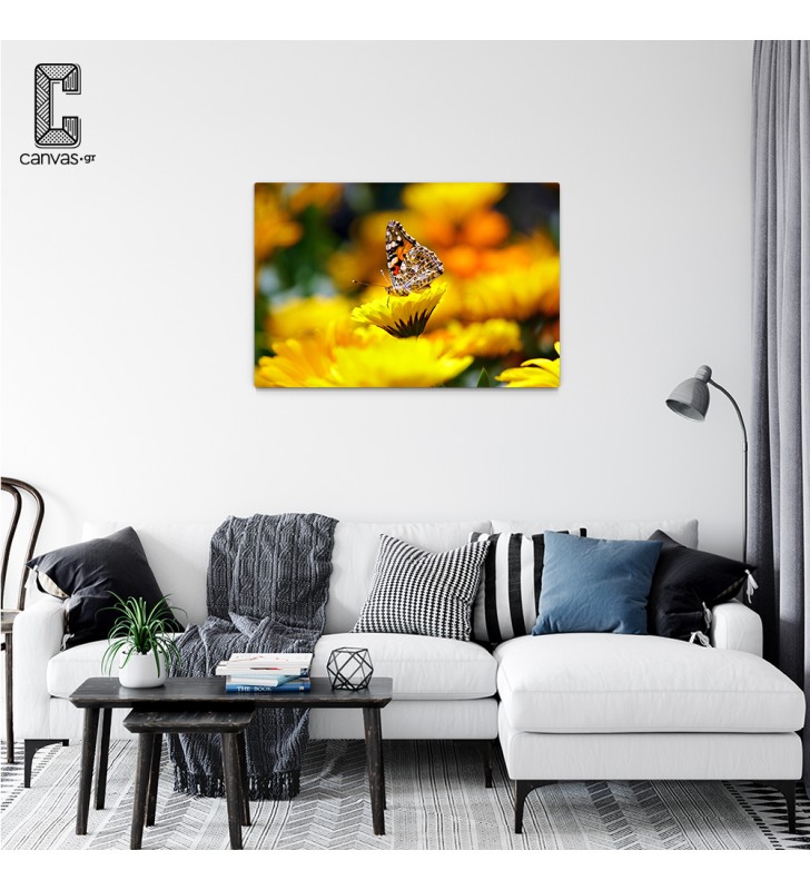 Πίνακας Σε Καμβά Πεταλούδα σε κίτρινο λουλούδι