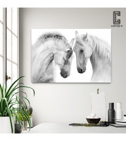Πίνακας σε καμβά Λευκά άλογα - white horses